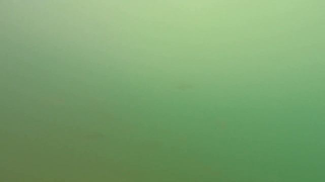 Подводная охота на карьере. Страх глубины 2. смотреть онлайн