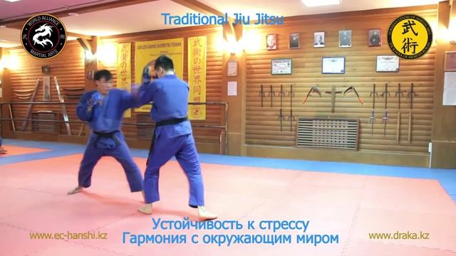 Традиционное джиу-джитсу в Астане смотреть онлайн