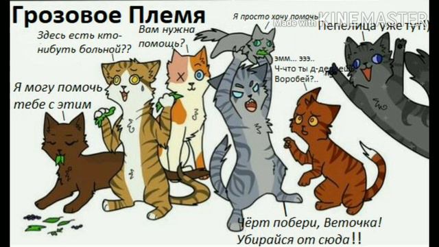 Озвучка приколов котов воителей первая озвучка смотреть онлайн