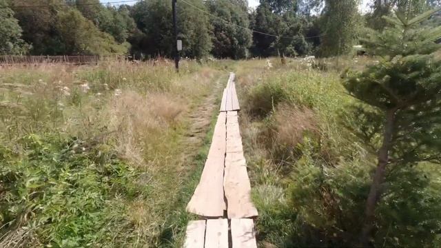 Святой источник в Радонеже. Август 2020. смотреть онлайн