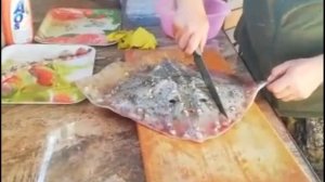 Морская Лиса. Рыбалка в Черном море