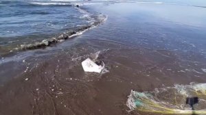 este pescador no se percató que esos no eran peces tiro la atarraya y mira la sorpresa que se llebo