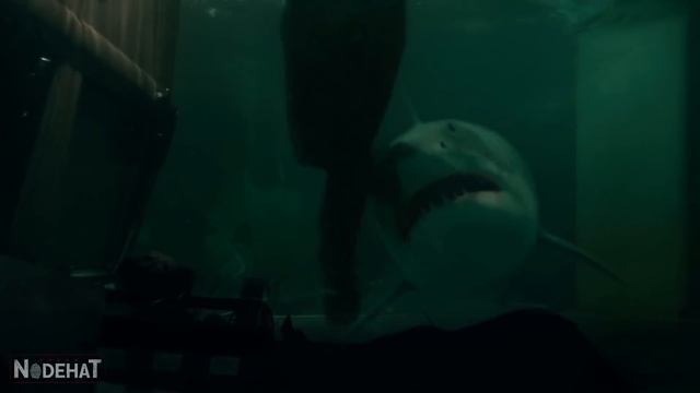 HUMANOS são usados como ISCAS vivas para ESCAPAR da toca dos TUBARÕES - RECAP смотреть онлайн