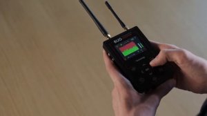 Детектор жучков "BugHunter Professional BH 04"