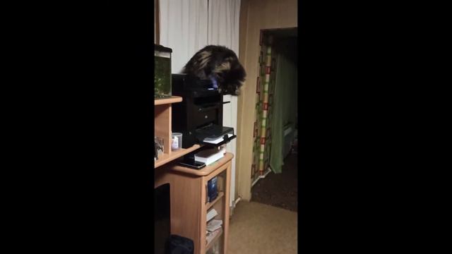 И это все о нем