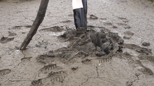Don't be a stick in the mud - part 2 смотреть онлайн