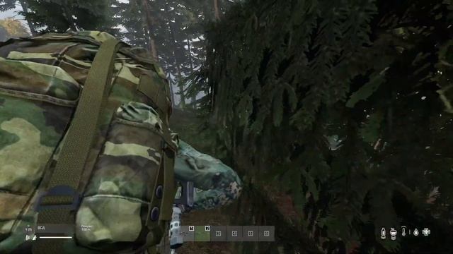 DAYZ test gamelpay vs Xeon E5 2620 V3 16GB RAM RX 570 4 GB смотреть онлайн