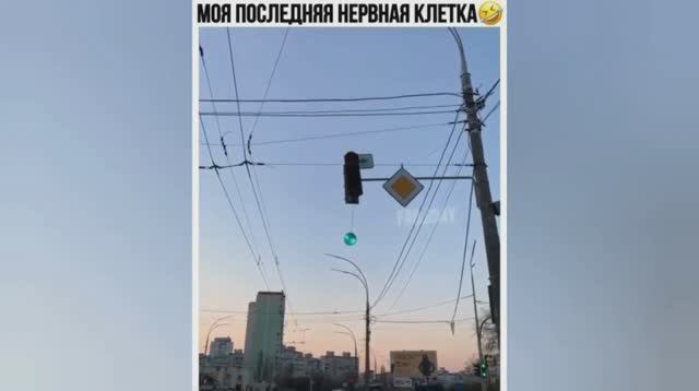 Смешные ролики №37