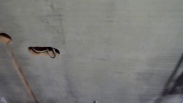 Методы измерения прочности штукатурки смотреть онлайн