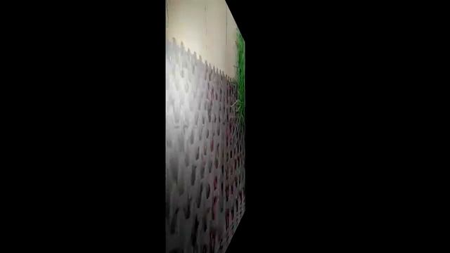 Огород зимой дома лук смотреть онлайн