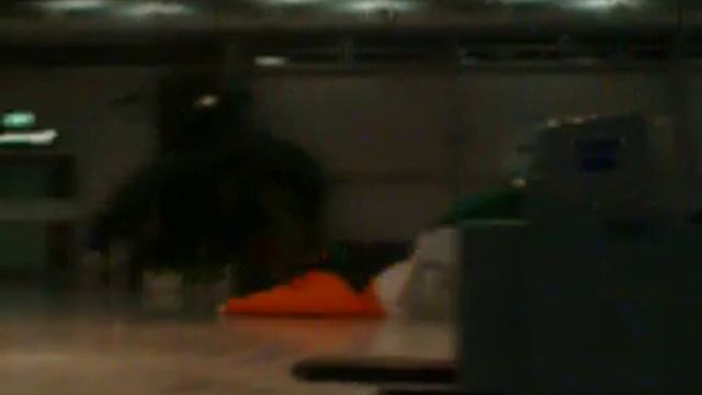 James in Stuttgart airport. Germany v Ireland. смотреть онлайн