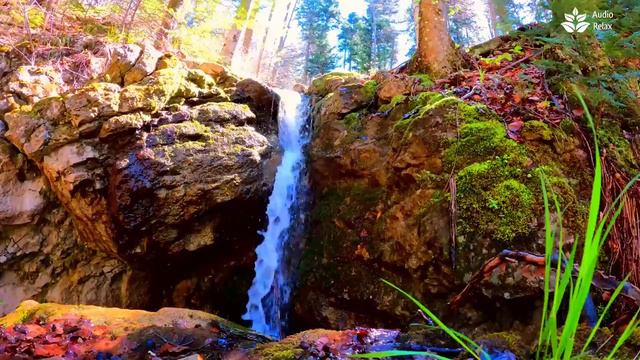 4k Flowing Water Stream Sounds (10 hours). Nature White Noise for Study, Meditation, Sleeping смотреть онлайн