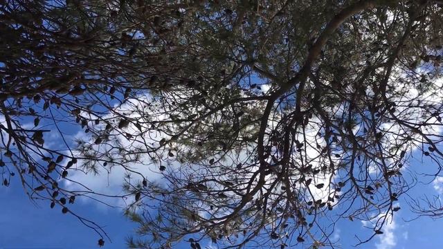 Mallorca february 2018 Spain смотреть онлайн