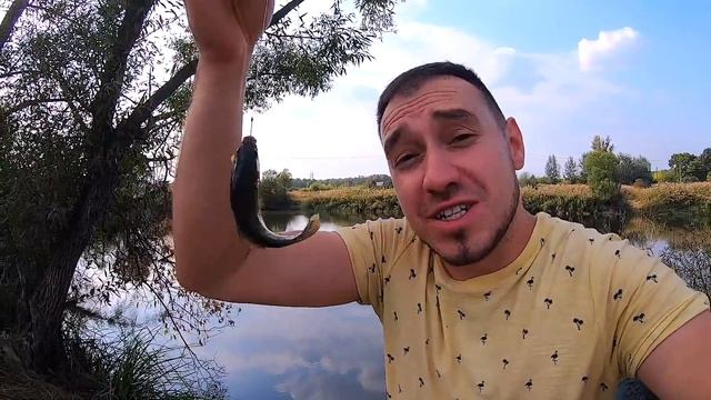 СОБАЧЬЯ Рыбалка на фидер и поплавок. Простая рыбалка на карася и карпа 0+ смотреть онлайн