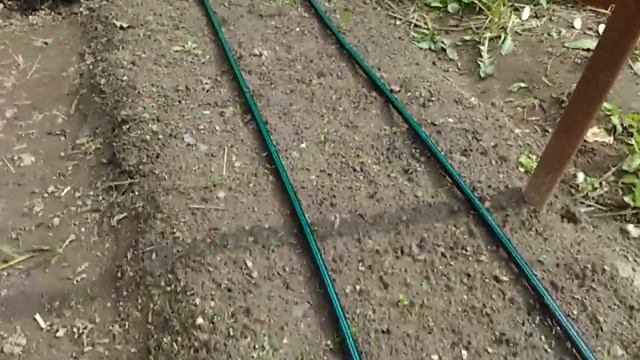 Капельный полив 2