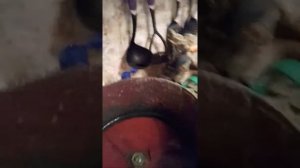 Картофелечистка из  болгарки