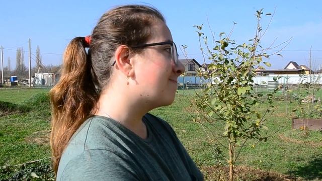 ЗАЧЕМ ВСЕ ТАКИ БЕЛИТЬ ДЕРЕВЬЯ ОСЕНЬЮ? КРАСНОДАРСКИЙ КРАЙ смотреть онлайн