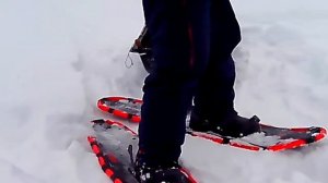 Лыжи или снегоступы?или тренировачная рыбалка в глухозимье