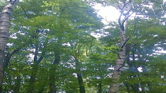 Неповторимые тропы крымских гор смотреть онлайн