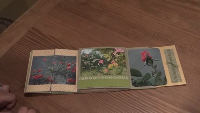 Garden Themed Curio Interactive Mini Album.MTS смотреть онлайн