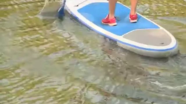 Подготовка к международному дню очистки водоёмов смотреть онлайн