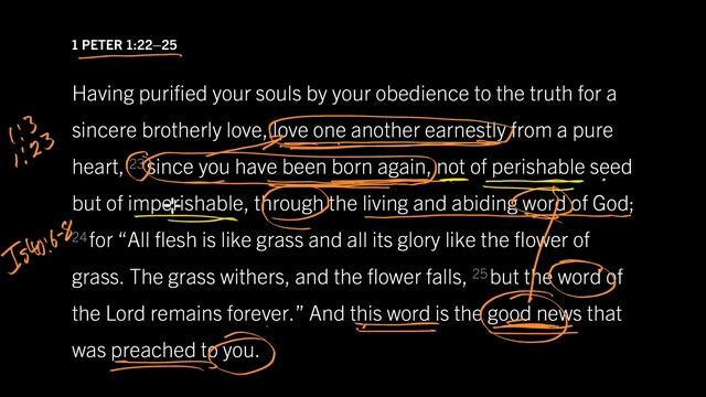 We Cannot Love Without Hope: 1 Peter 1:22–25, Part 2 смотреть онлайн