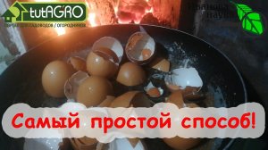 ОГНЕННОЕ УДОБРЕНИЕ из яичной скорлупы! Быстродействующее удобрение без кофемолки и уксуса.