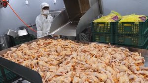Производство жаренной курочки, кимчи и др. Интересные фабрики \ Азиатская кухня \ Корейская еда
