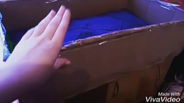 Покупки для котенка, который появится уже сегодня ! смотреть онлайн