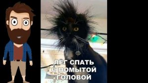 Лютые приколы. КОТ У ДИРЕКТОРА!!! Самое смешное видео! Засмеялся проиграл! – Domi Show!