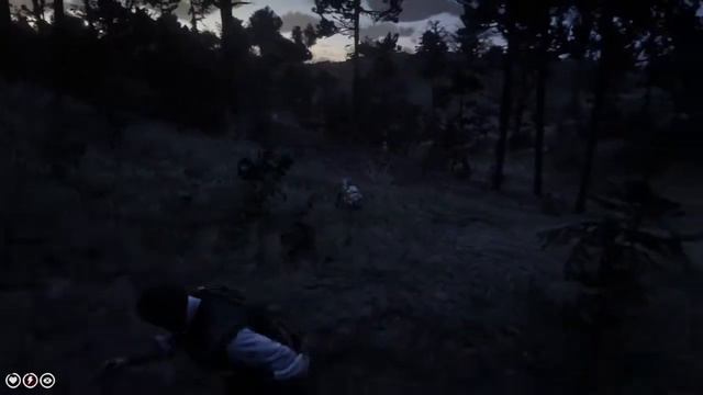 КАК НАЙТИ РЕДКИХ ЖИВОТНЫХ В RED DEAD REDEMPTION 2. ЧАСТЬ ПЕРВАЯ смотреть онлайн
