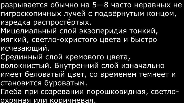 Звездовик бахромчатый Geastrum fimbriatum Часть 1 Описание Съедобность Видео определитель смотреть онлайн