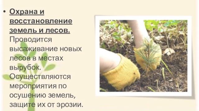 Люблю тебя, природа, в любое время года (Харцызская библиотека-филиал №6)