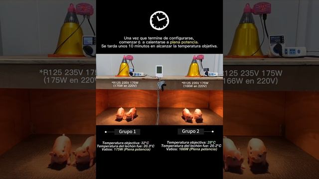 Vídeo Protector De Lámpara Inteligente