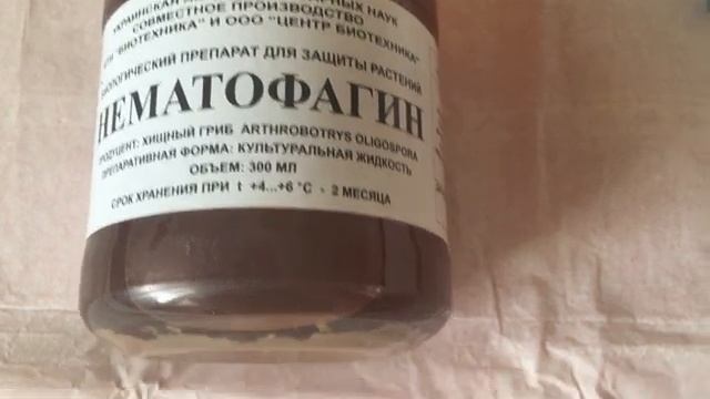 Обзор препаратов НЕМАТОФАГИН, МИЛЕКОНС и АКТОФИТ против болезней и вредителей смотреть онлайн