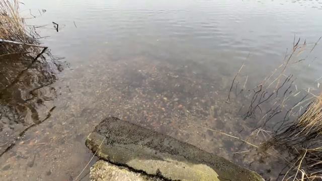 Lets talk about JERKBAITS...AGAIN! (Audio fixed) смотреть онлайн