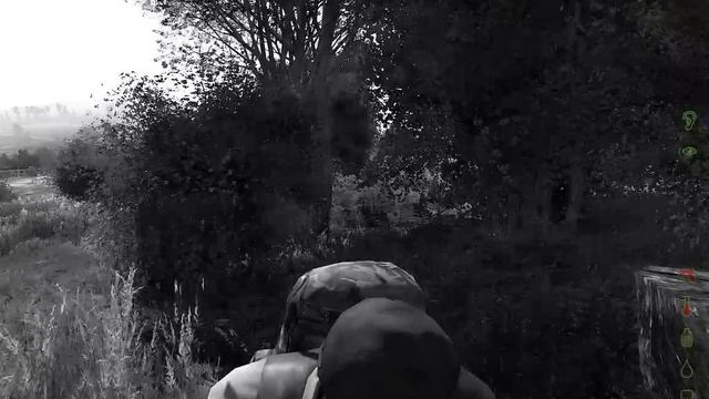 Dayz немного экшона смотреть онлайн