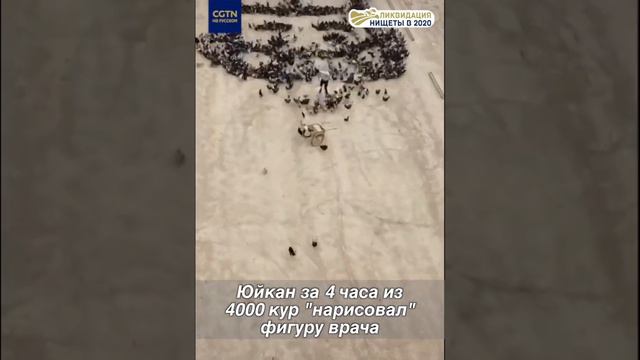 Как Интернет и хорошая идея изменили жизнь целой китайской деревни смотреть онлайн