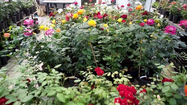 Прогулка по садовому центру в Никитском_ 20мая 2021 года. Без комментариев._.mp4 смотреть онлайн