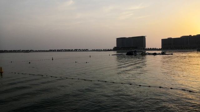 Опасности отдыха в ОАЭ которые спрятаны в заливе и пляжах. Ядовитые медузы, змеи, морские ежи и проч смотреть онлайн