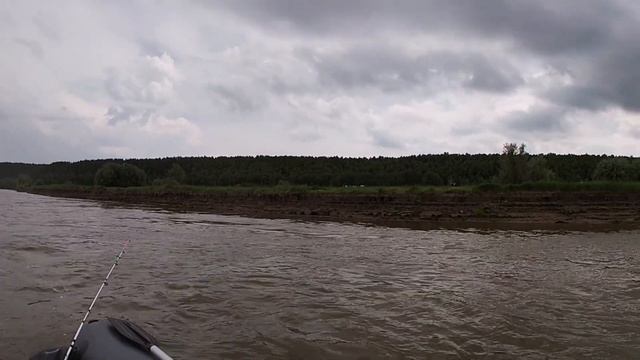 Chris Rea Looking For The Summer смотреть онлайн