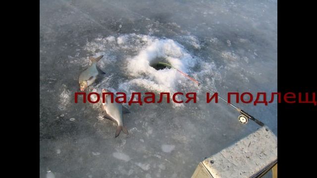 рыбалка на волге зимой смотреть онлайн