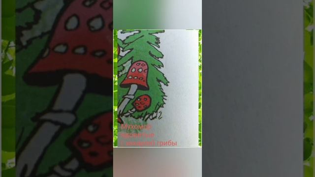 Урок- 6,Существительное.Собственные и нарицательные имена существитеььные смотреть онлайн