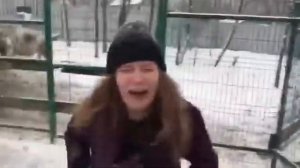 Верблюд плюется