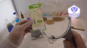 Томат Алей. Семена Алтая