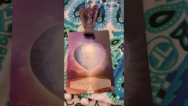 ???MORNING ORACLE ???TAKE WHAT RESONATES AND DROP THE REST ‼️ смотреть онлайн
