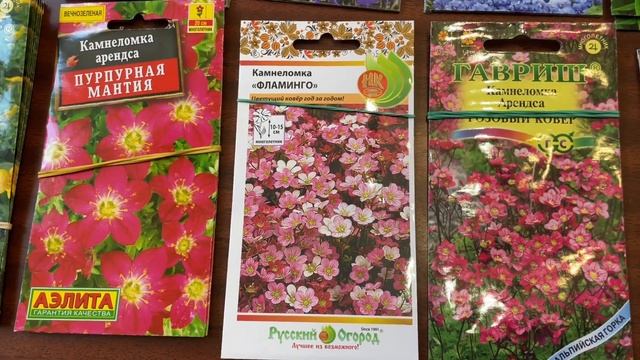 ВЫБИРАЕМ МНОГОЛЕТНИЕ ЦВЕТЫ смотреть онлайн