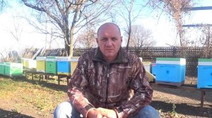 Содержание пасеки - отличный БИЗНЕС для деревни. Сколько я заработал на пчелах..???