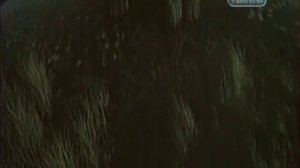 Городские легенды #2 Санкт - Петербург. Васильевский остров. Загадка древних изваяний.