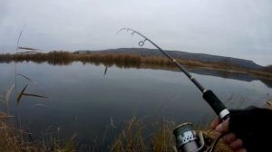 Осень. Щука на воблер TsuYoki Draga 130SP. Эпизод.